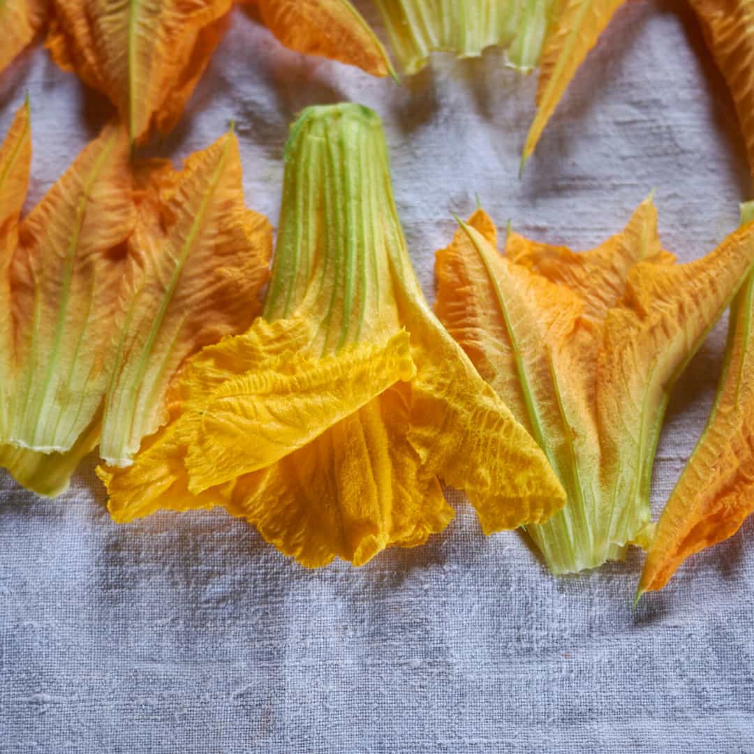 Courgette Flowers